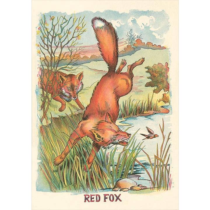 Magnet AN-220 Red Fox for wholesale by Found Image Press