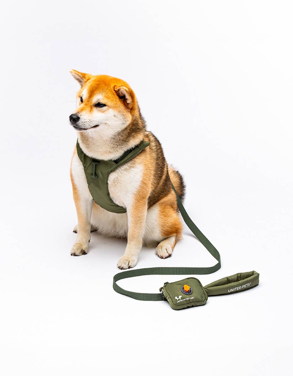 United Pets - Wholesale Hondenriem - Hond - Zachte hondenriem met gewatteerd handvat15