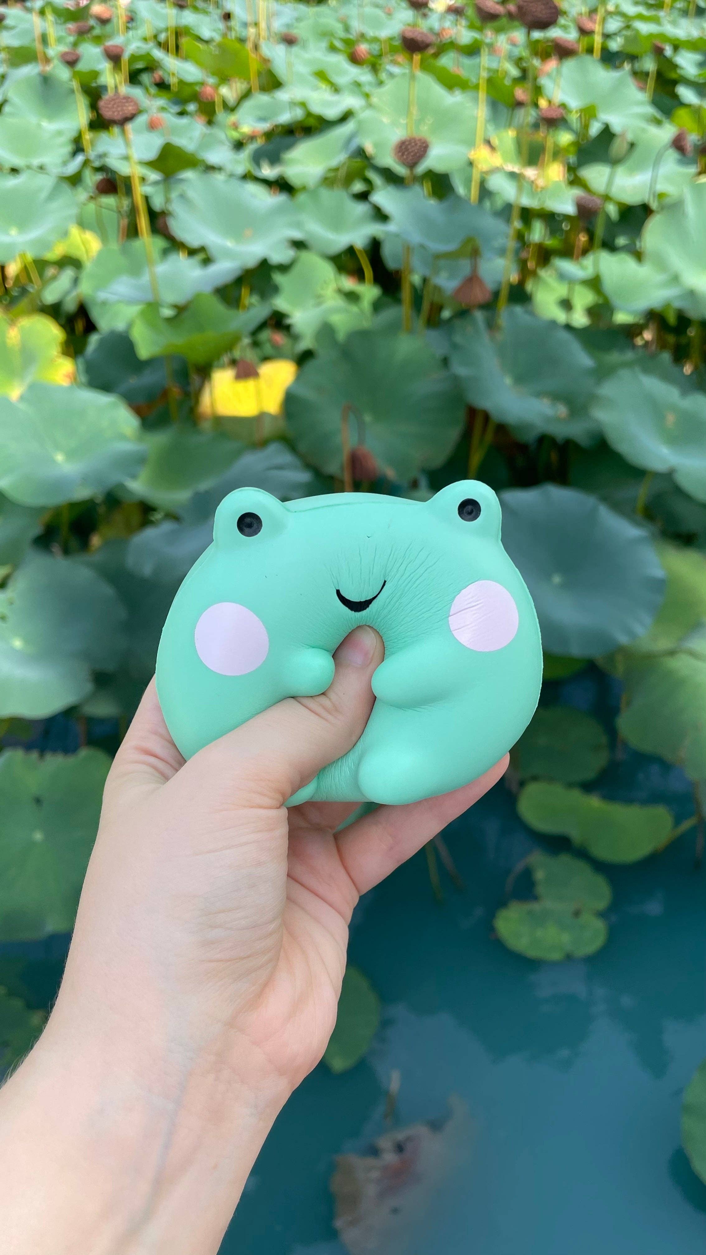 Wholesale Ebbo Frog Squishy for your store - Faire Canada