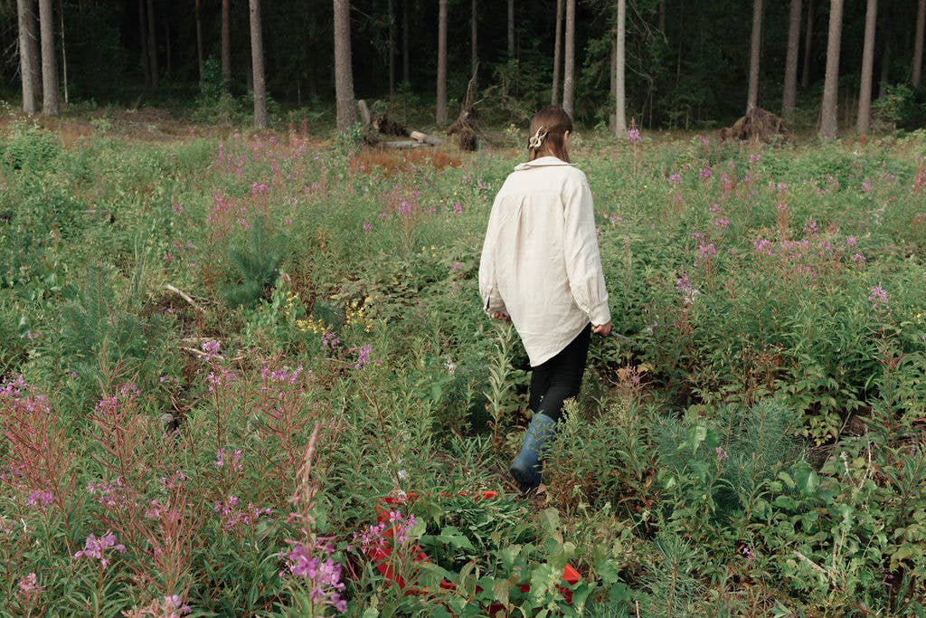 Plūkt – wholesale Health/detox tea – Tea blend MEADOW MORNING5