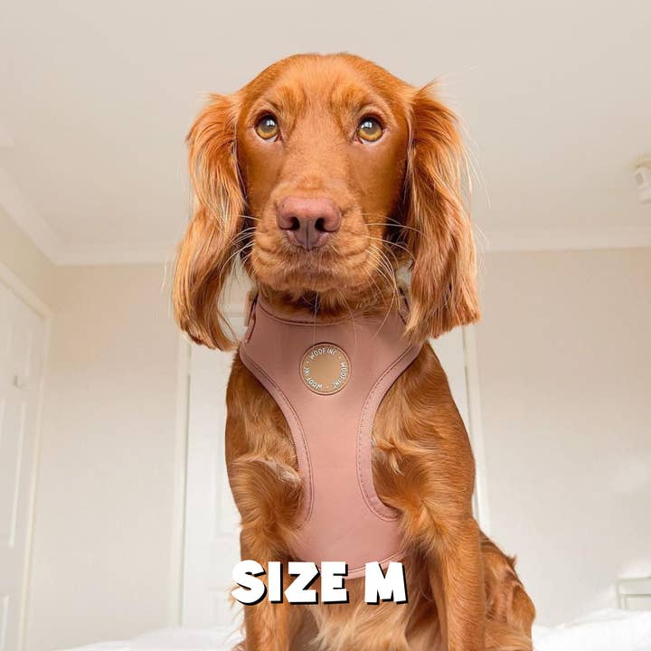 WOOF INC - Wholesale Pet Harness - Dog - Caramel Adjustable Dog Harness5