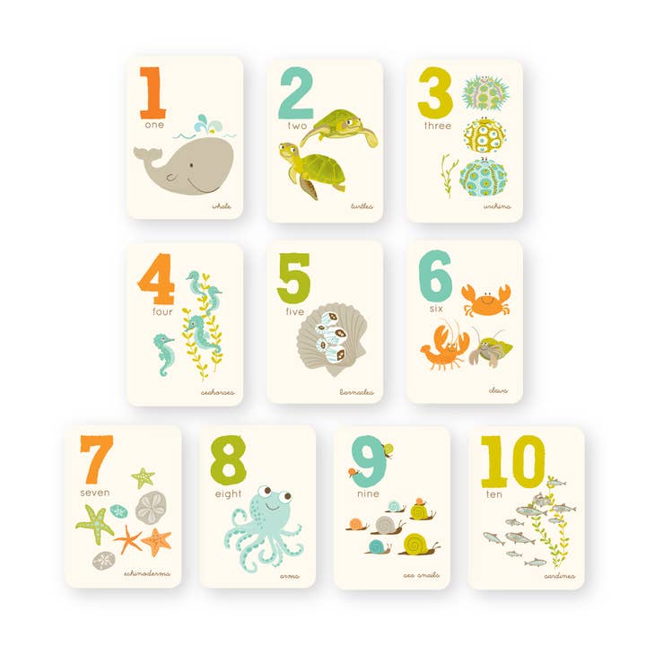 Sea Urchin Studio – Großhandel Lernkarten – Kind & Baby – Kartenset zum Zählen | Sea & Shore1