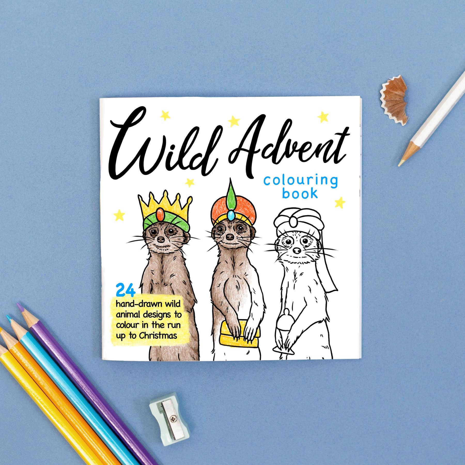 Wild Lines - Wholesale Coloring & Activity Book - Kids & Baby - Advent Colouring Book - Global Wildlife - Advent Activity3