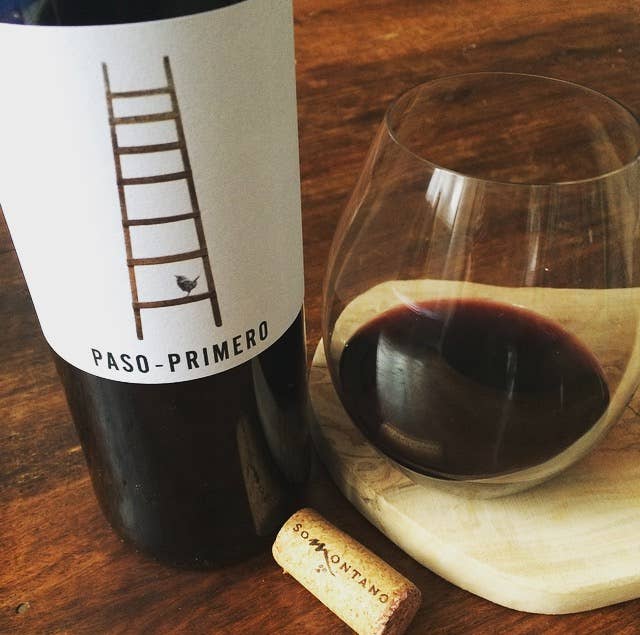 Paso-Primero – wholesale Red wine – Paso-Primero Tinto1