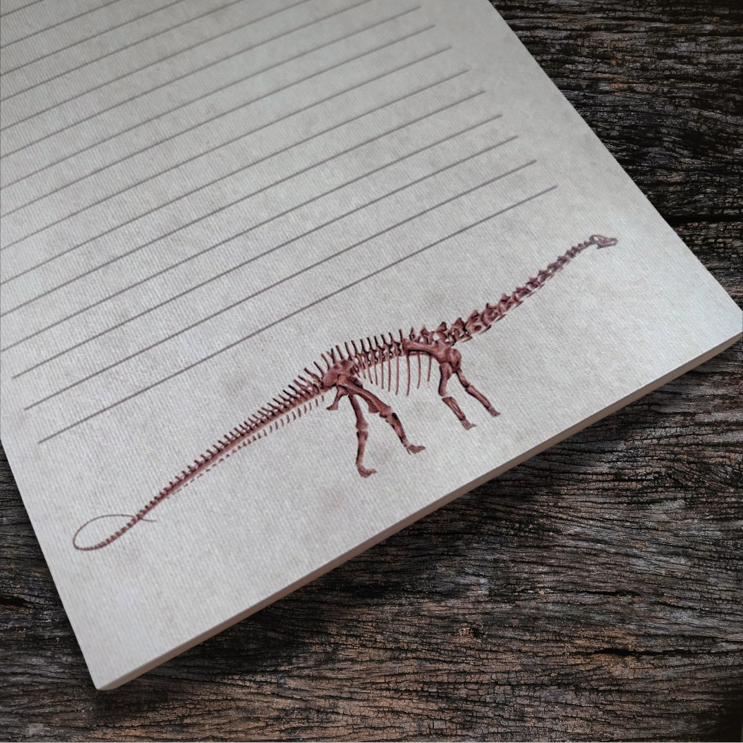 Write Your Story – wholesale Notepad – Diplodocus A6 Notepad5