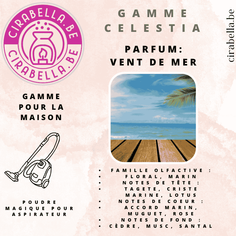 Cirabella-Sensaura srl - Wholesale Air Freshener - Vacuum cleaner powder5