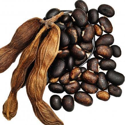 Simha Life LTD - Wholesale Oral Supplement/Vitamin - Mucuna3