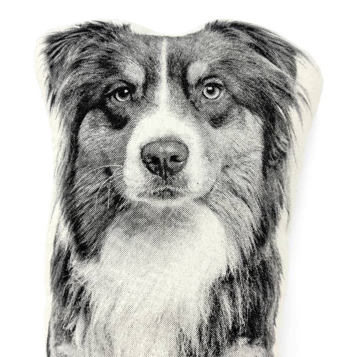 Broderpress - Wholesale Throw/Decorative Pillow - Australian Shepherd Pillow2