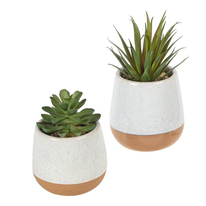 Truu Design - Wholesale Succulent - Truu Design Truu Desig Faux Succulent in 4" Ceramic Pot1