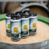More Bees Please - Wholesale Non-Alcoholic Beer - Absolution 5.3% ABV