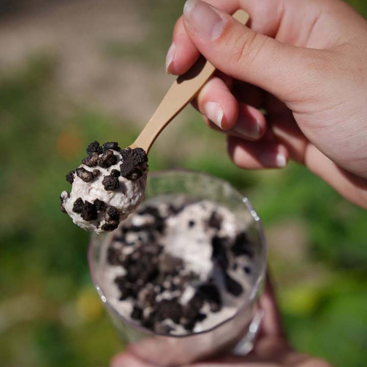 Novela Global - Wholesale Assorted Cutlery Set - 11 cm reusable bio-based teaspoon 2400 pcs1