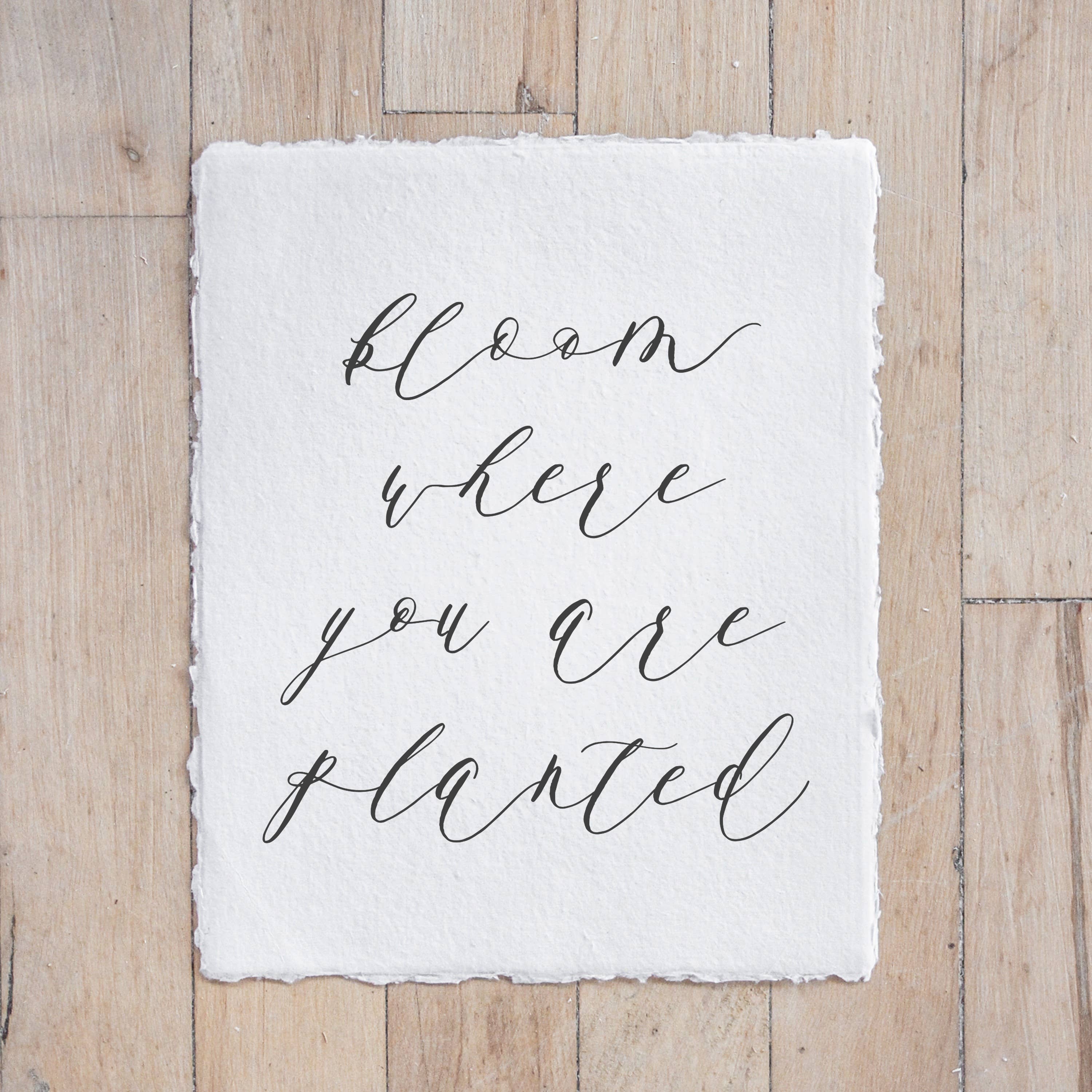 DWELL Home Shoppe - Wholesale Art Print - Bloom Where You are Planted Calligraphy Print - Vertical1
