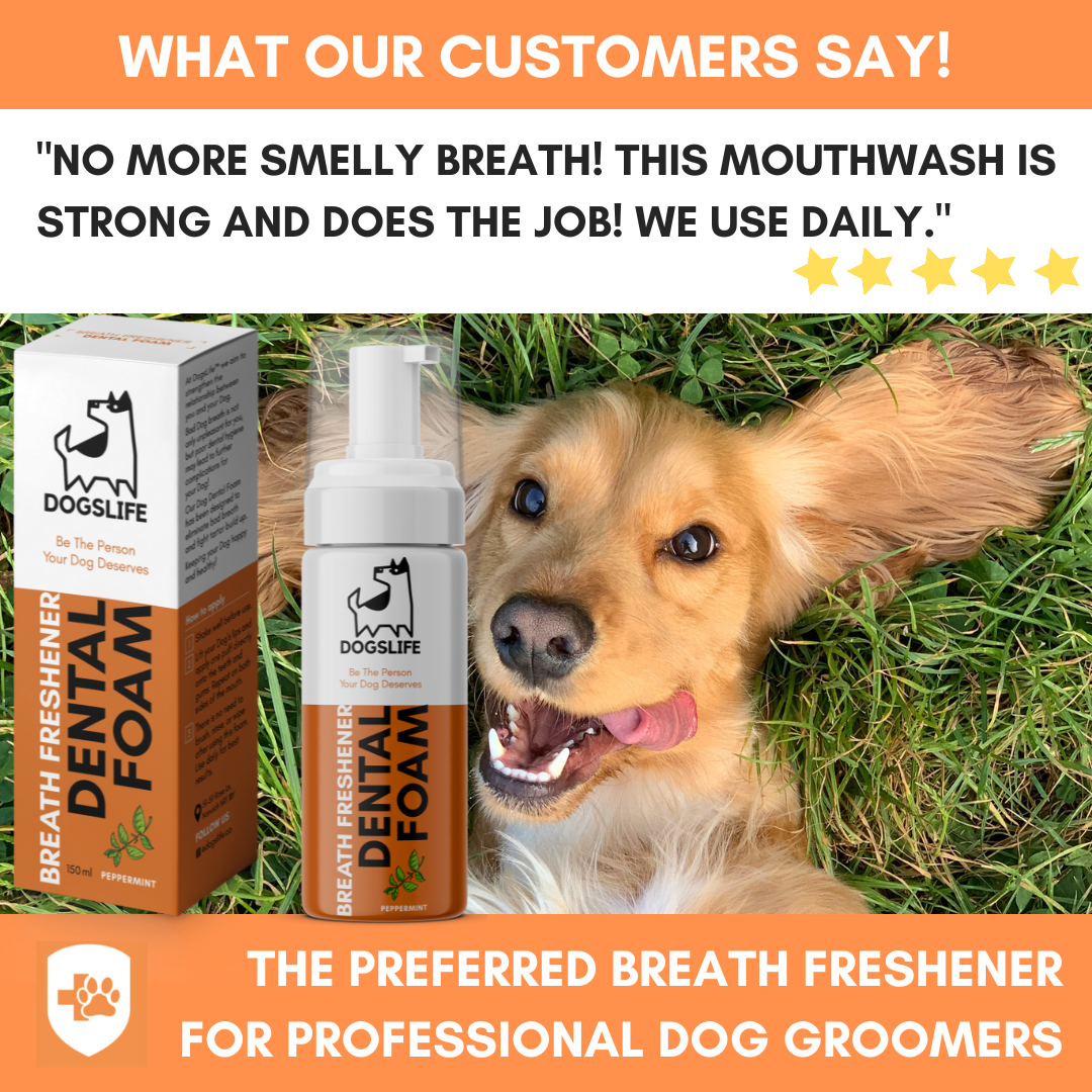 OurPetsLife - Wholesale Pet Grooming Aid - Dog - Dental Foam for Dogs7