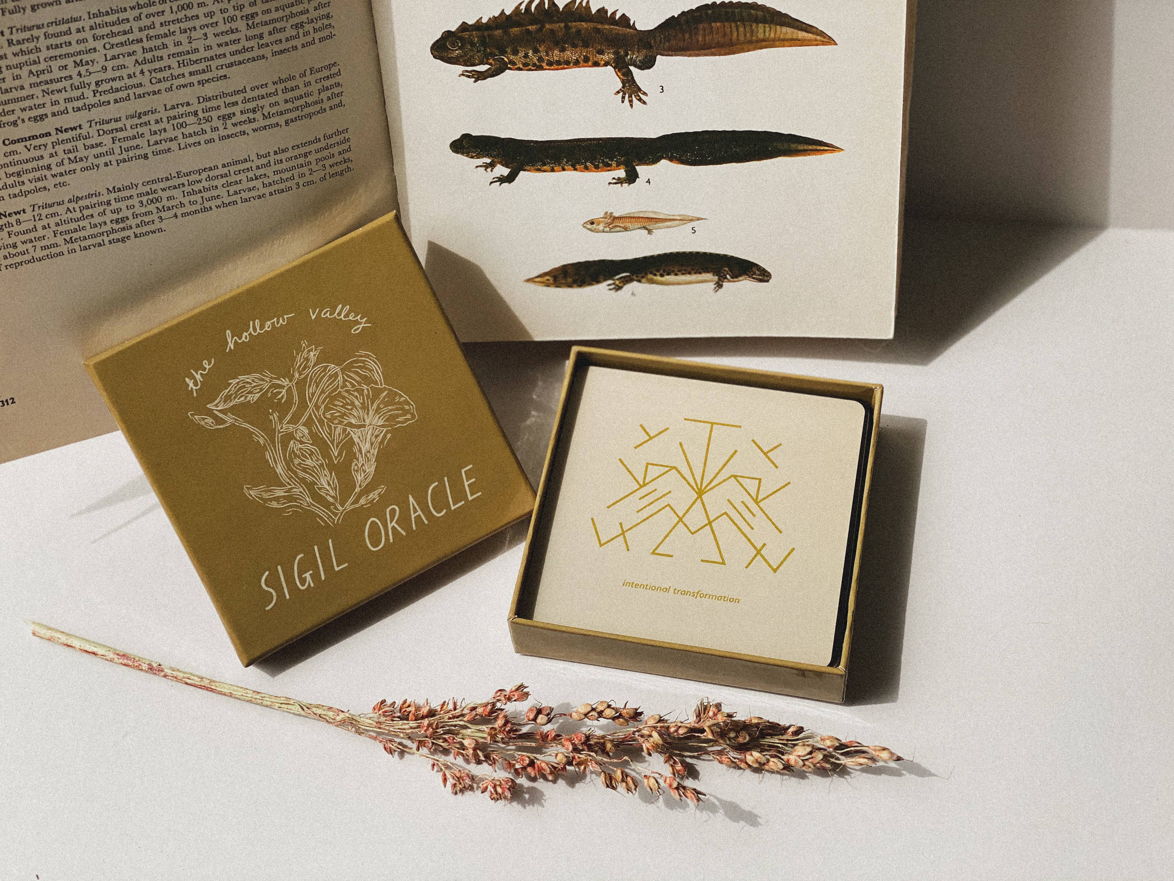 The Hollow Valley - Wholesale Tarot Cards - Hollow Valley Sigil Oracle6