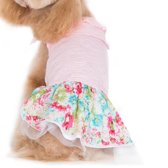 Article en rupture de stock - Robe florale de rêve pour la vente par Dogo Pet