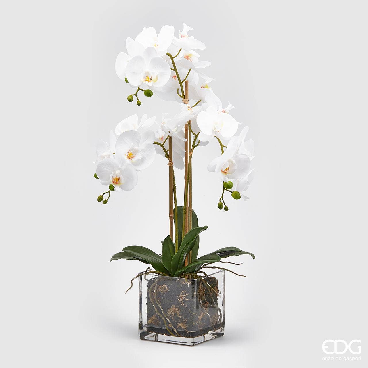 edg - Wholesale Artificial Flowers - PHAL ORCHID.PLANT X3 W/POT0