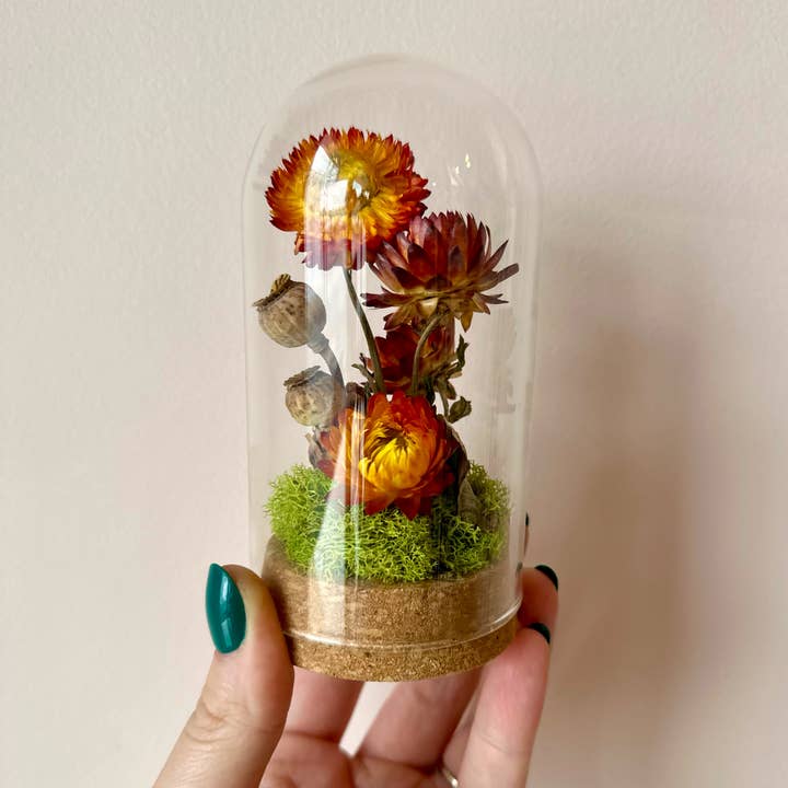 CA Studios - Wholesale Terrarium - Large Botanical Glass Terrarium Jar w. Dried Orange Florals