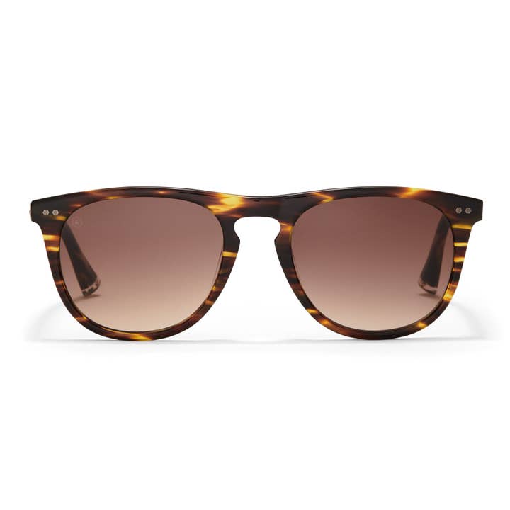 Bassett Sunglasses for wholesale by Taylor Morris Eyewear