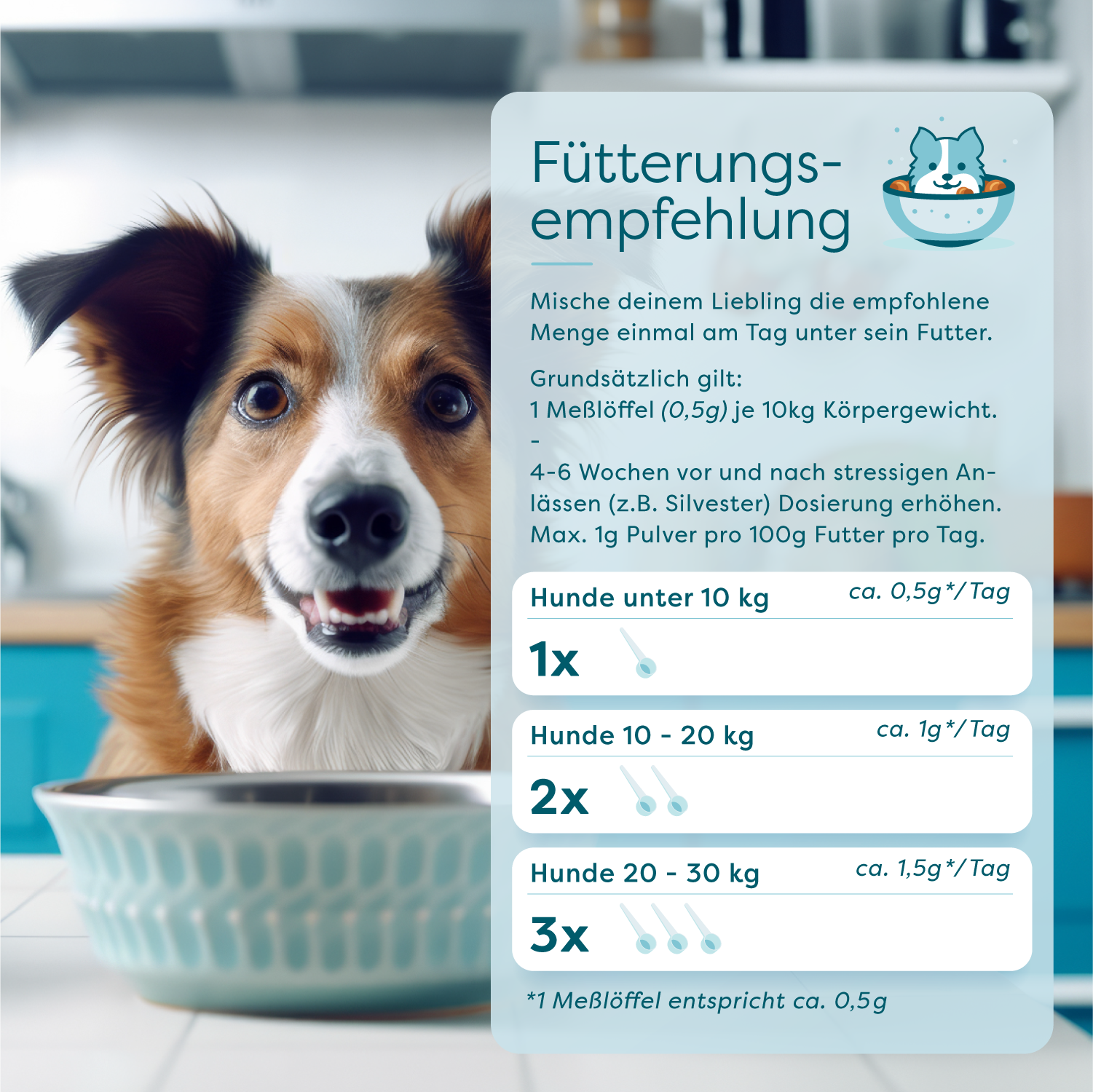 DrSAM - Wholesale Pet Supplement - Cat/Dog - Relax Pet - herbal calming powder4