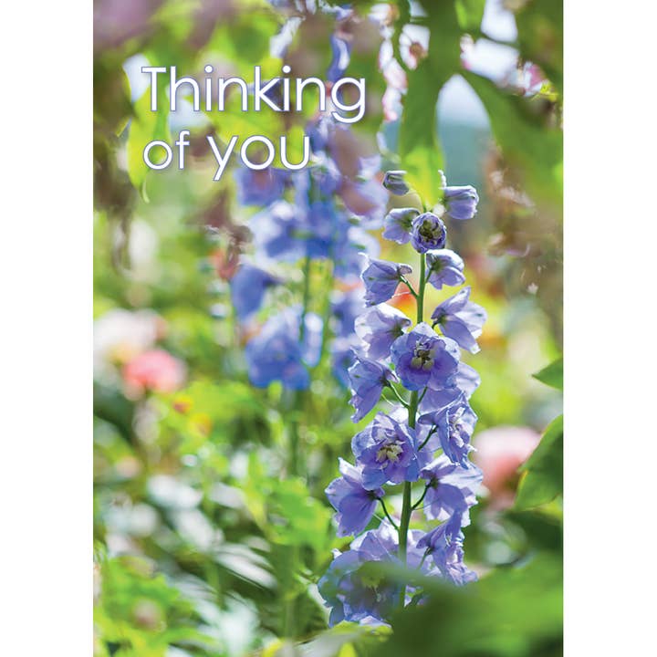Thinking of You Card - Blue Delphinium for wholesale by Leonard Smith