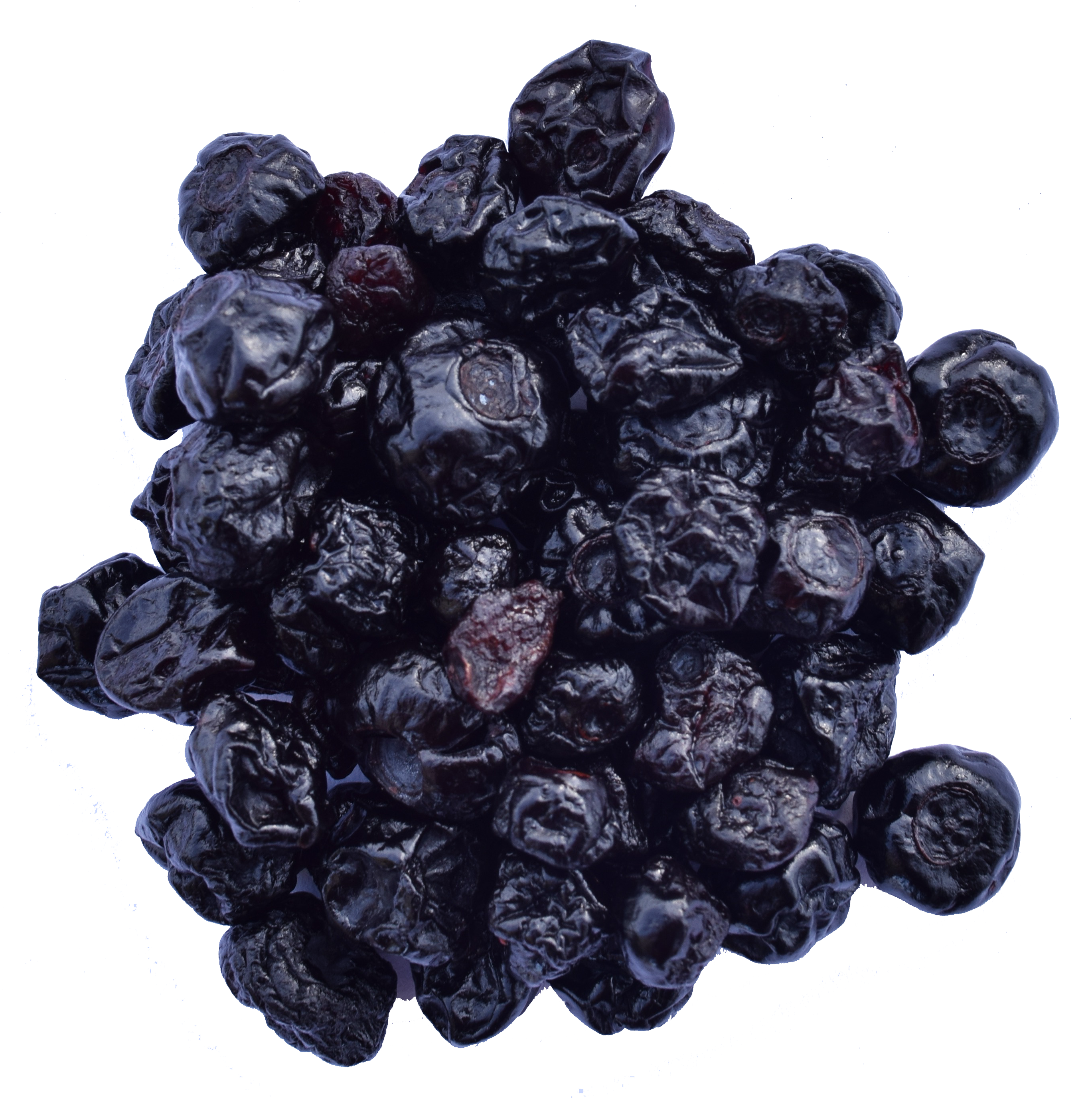 Wilderness Poets - Wholesale Dried/Dehydrated Fruit - Oregon Blueberries6