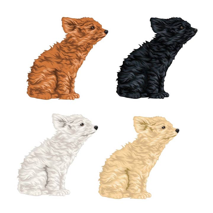 Miniature Poodle Decal for wholesale by Cover-Alls Decals