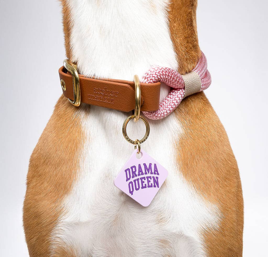 Freshwater Curated Goods - Venta al por mayor Chapa de identificación - Gatos y perros - Placa para mascotas Drama Queen en acrílico lavanda pastel1