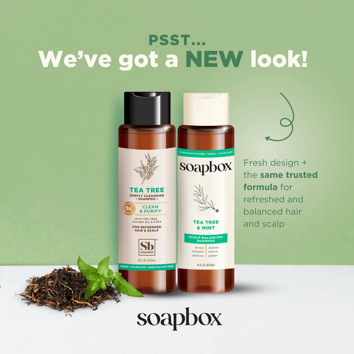 soapbox - Wholesale Hair Shampoo - Tea Tree & Mint Scalp Balancing Shampoo