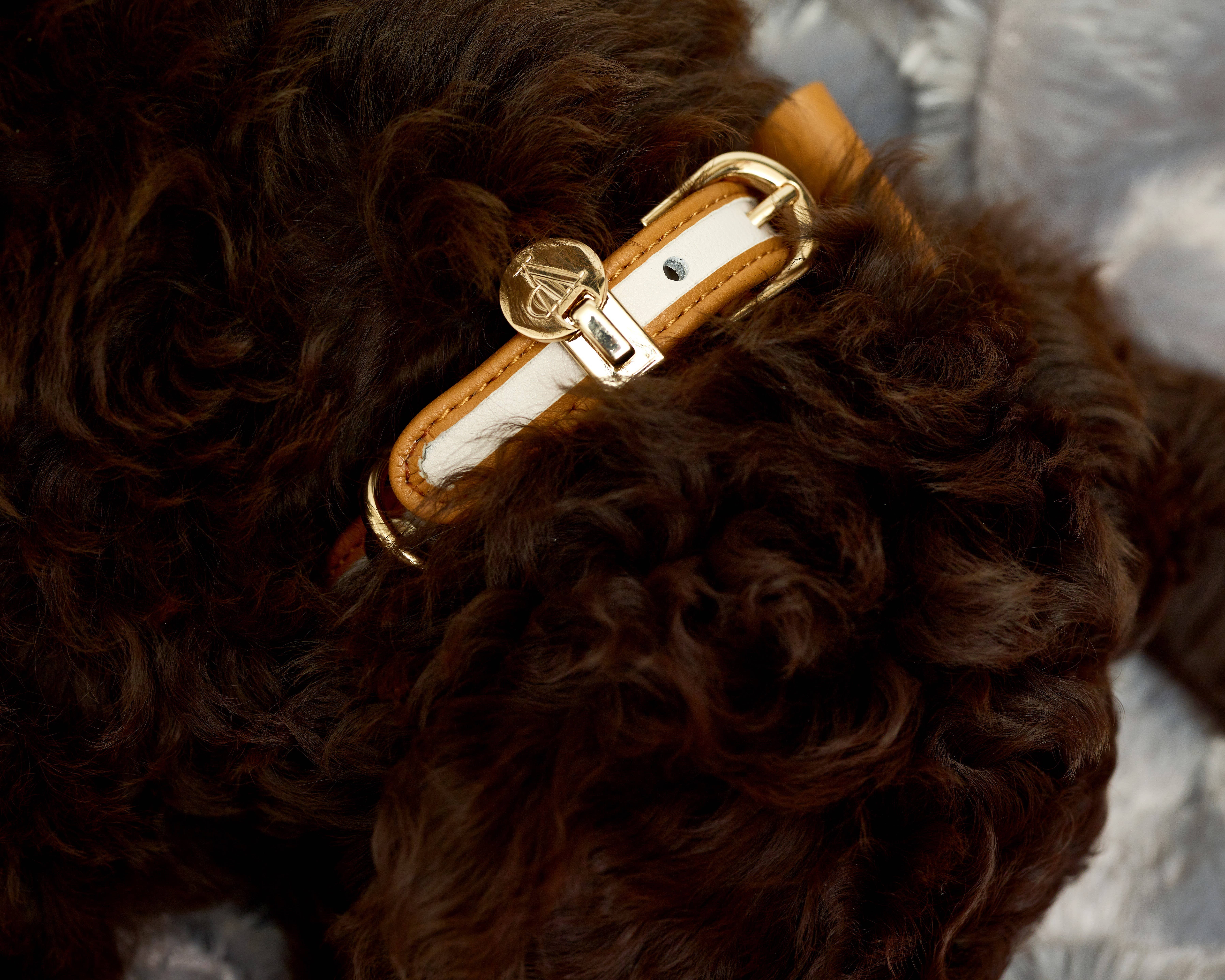 The V.I.PUP Collection - Wholesale Pet Collar - Dog - Denim Victorian 88 & Gold Collar5