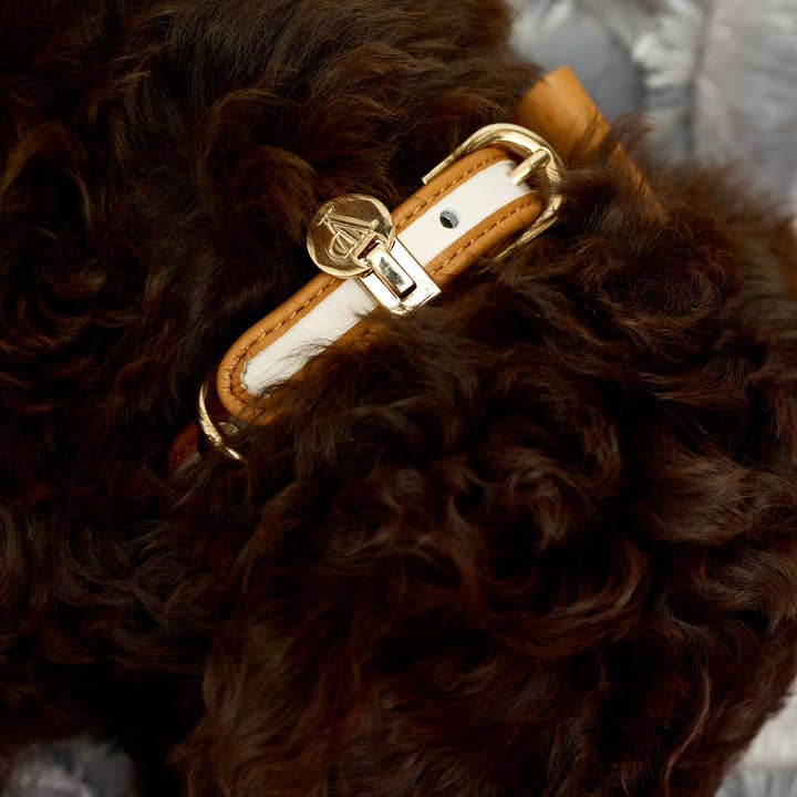 The V.I.PUP Collection - Wholesale Pet Collar - Dog - Denim Victorian 88 & Gold Collar5