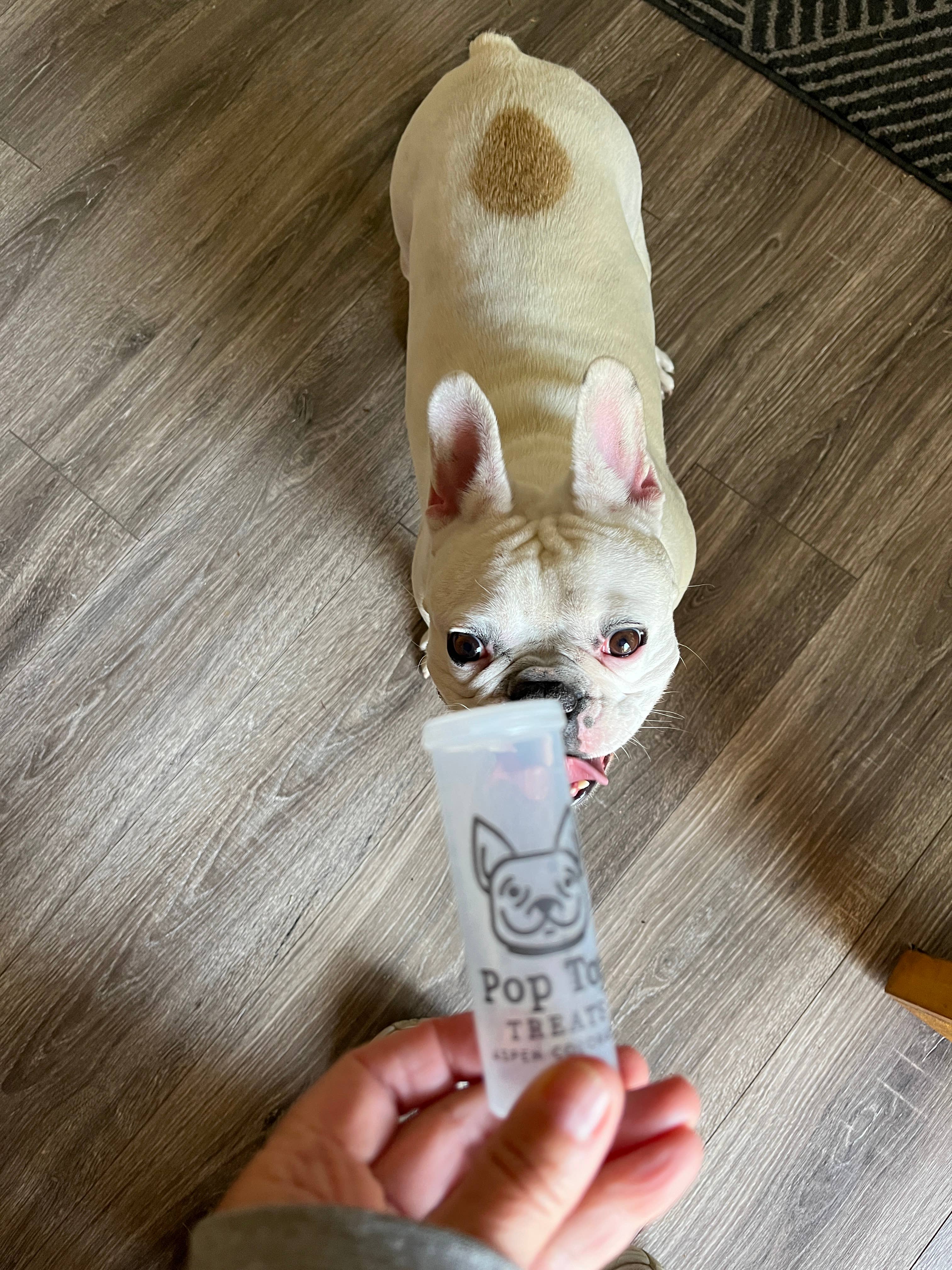 poptoptreats - Wholesale Pet Treats - Dog - Pop Top Treats-UN-filled, Add Your Own Treats2