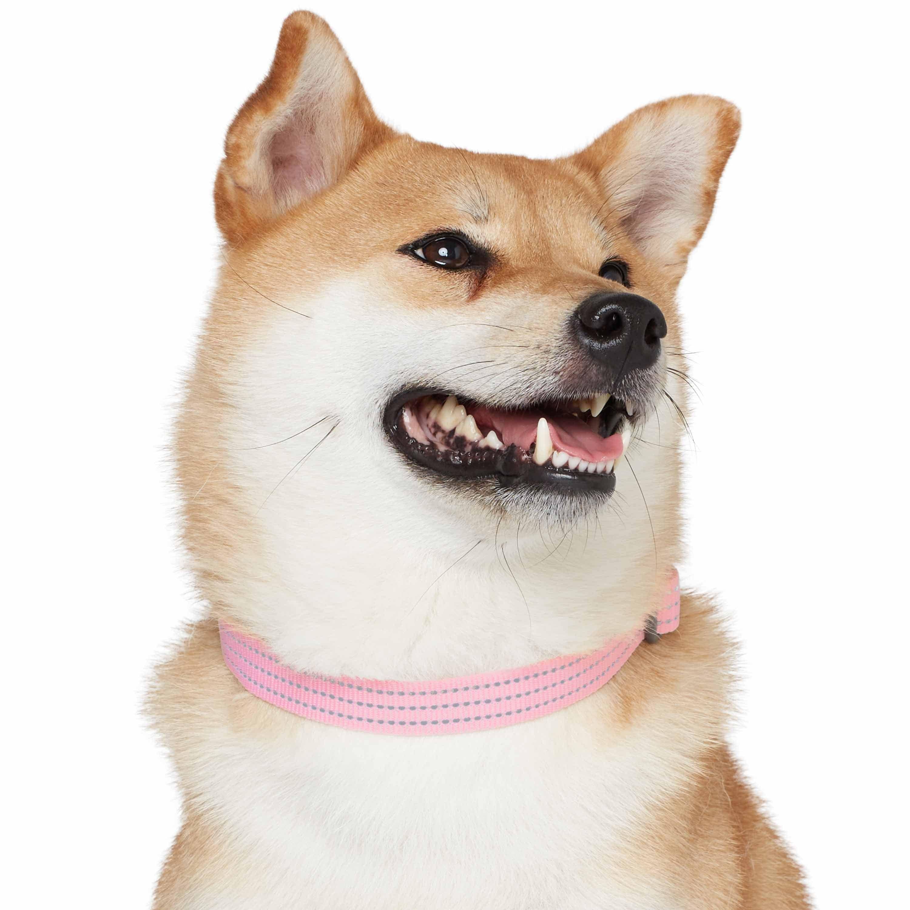 Blueberry Pet - Venta al por mayor Collar - Perros - Collar reflectante para perros Better Basic en 8 colores9