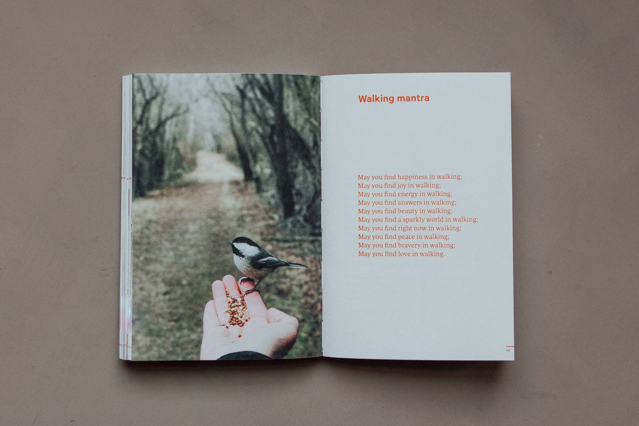 Do Books - Wholesale Self-Help & Personal Development Book - Do Walk Book, Guide for Mindful Walkers6