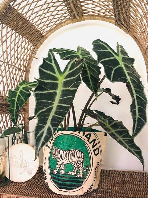 Plantagedække til potter op til 18 cm bredde og 20 cm højde for engroshandel hos CEMENT6