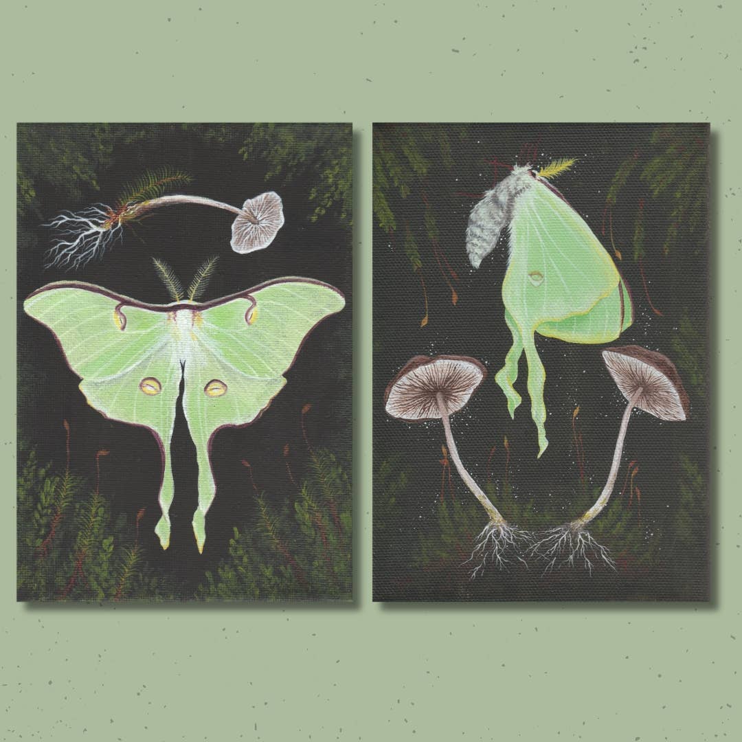 Up Moss Creek Studio - Wholesale Postcard Set - Luna Moth Mini Postcard Print Set2