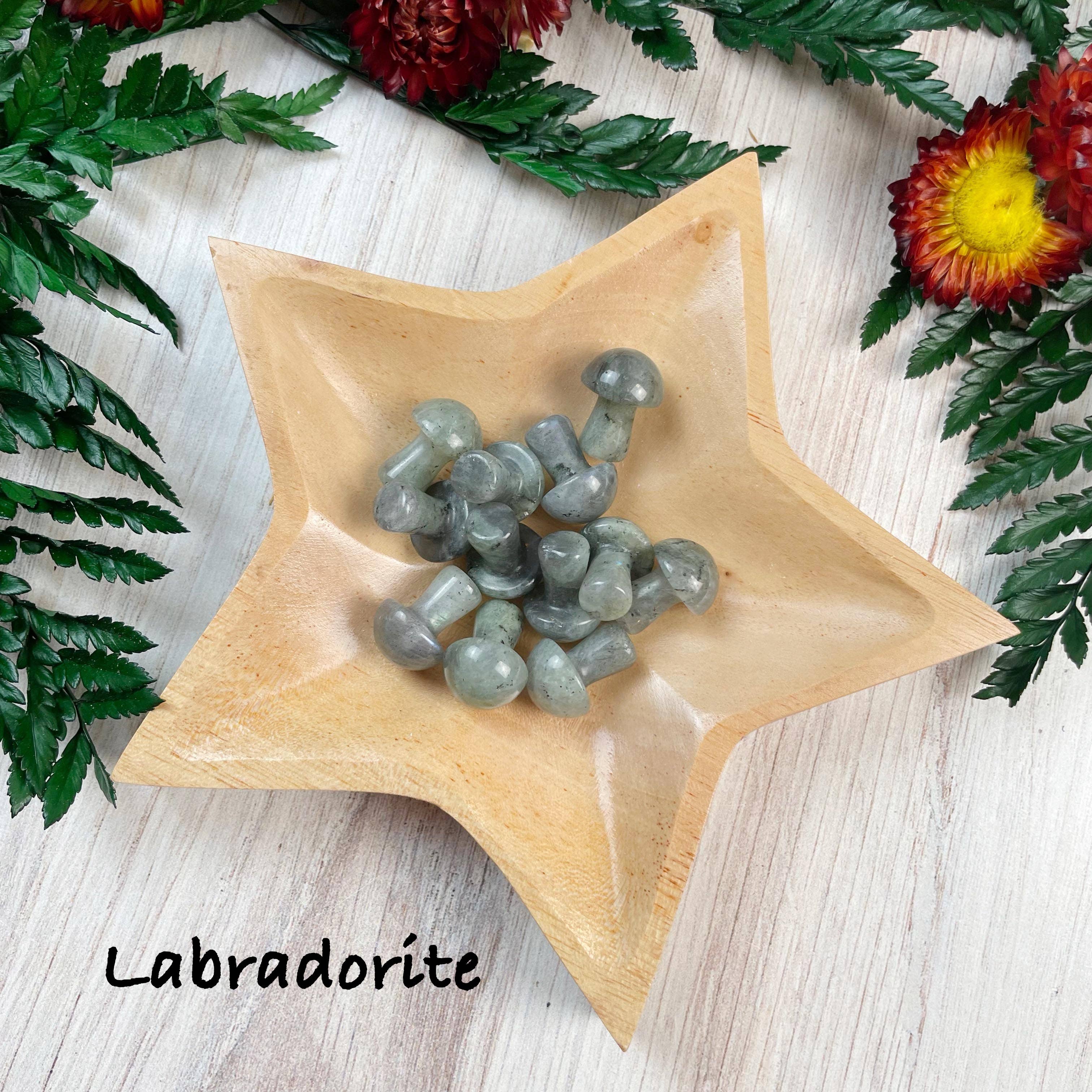 Ewelina Pas Jewelry - Wholesale Spiritual Stone/Crystal - MINI Gemstone Mushroom Pocket Stone8