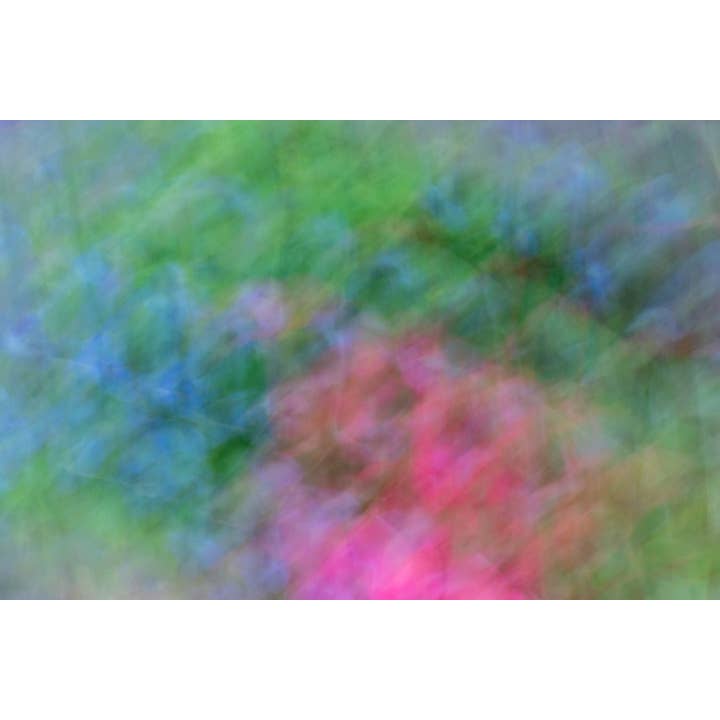 Brighten My Day With Laughter Fine Art Print for wholesale by Christi Kraft Photography