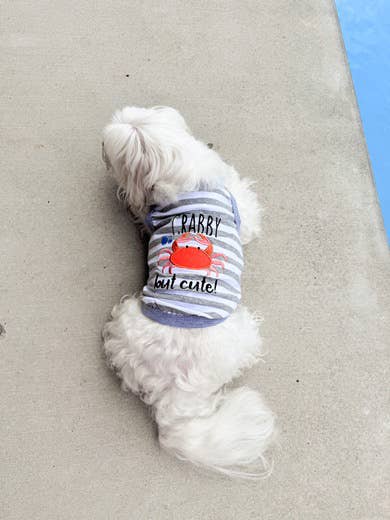 Parisian Pet® - Wholesale Pet Shirt - Dog - Crabby But Cute Tee – Funny & Adorable Dog T-Shirt for Pets7