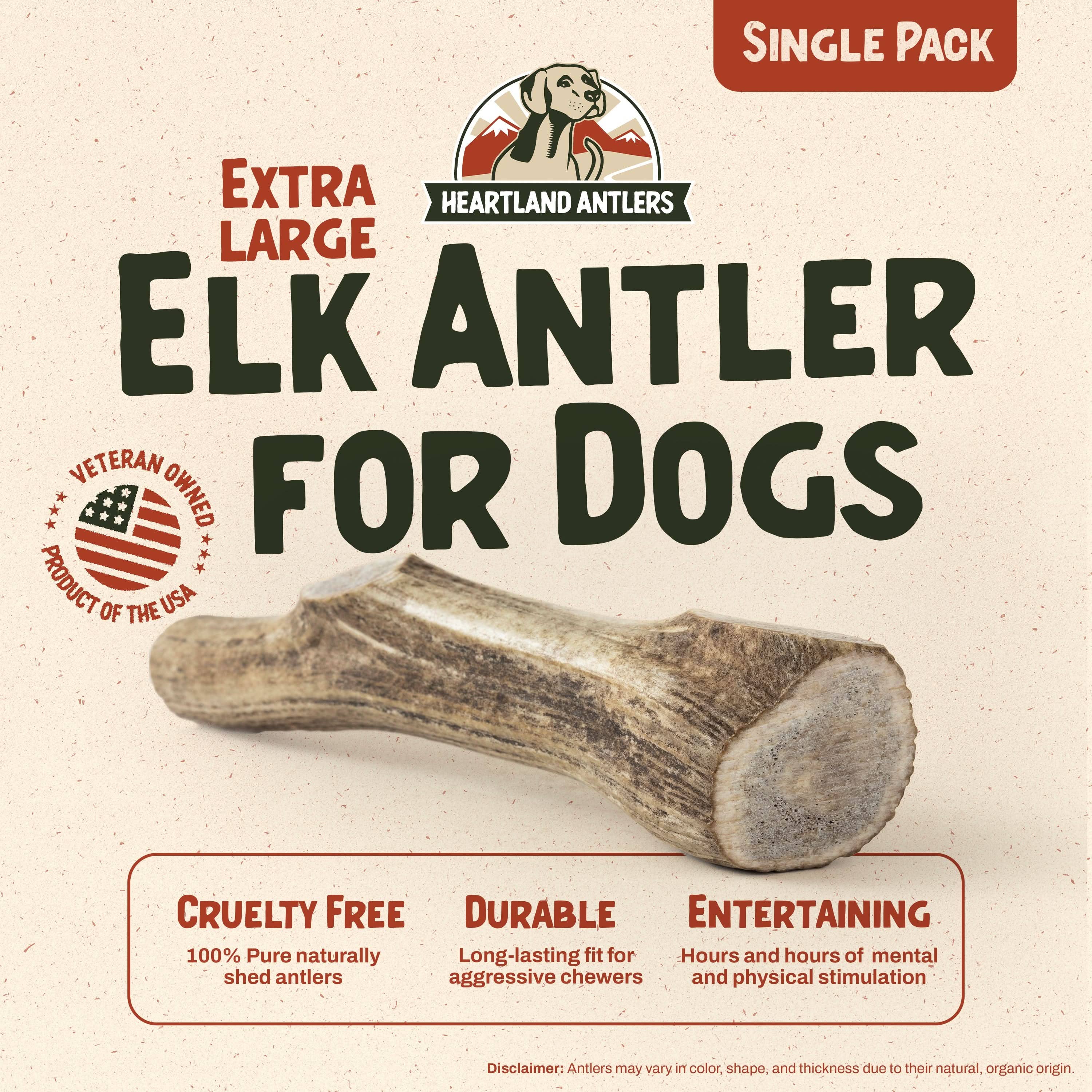 Heartland Antlers - Wholesale Pet Chew Toy - Dog - Whole Elk Antler Chew - Extra Large (65-85 lbs)1