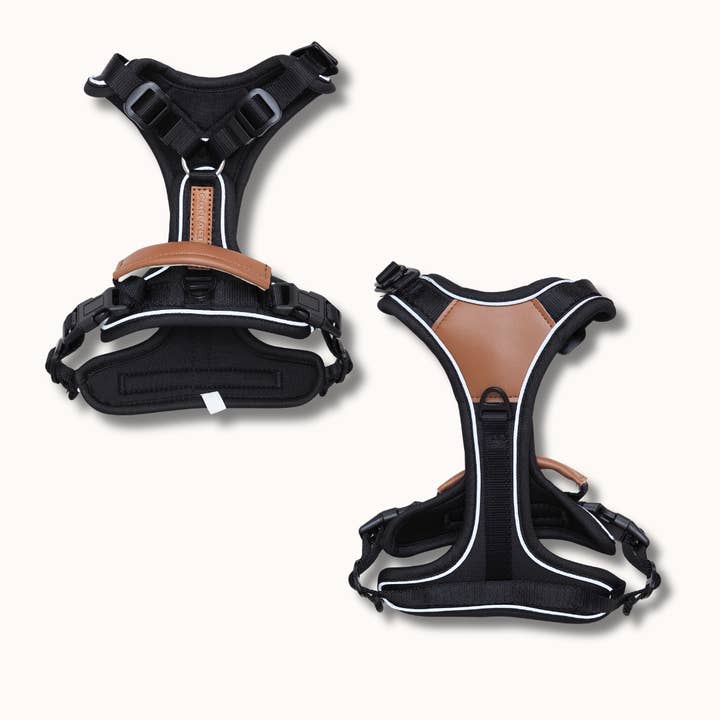 Terrain Trails Pro Harnais pour Chien - Noir et autres tendances Résultats pour juwel smartfeed automatique en vente B2B. Retours gratuits et paiement à 60 jours sur Faire sur Faire.