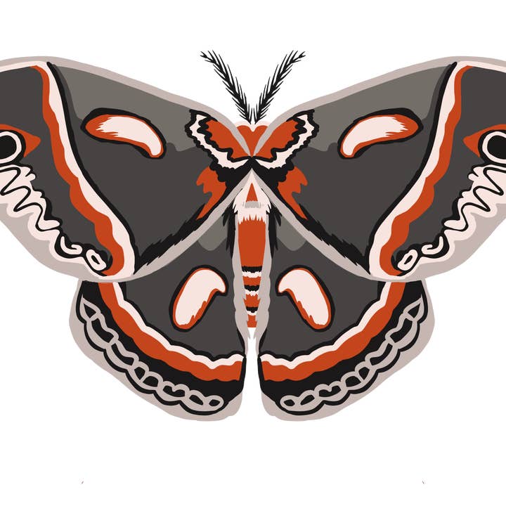 Autocollant Papillon de Nuit Gris pour la vente par The Good Boy Collective