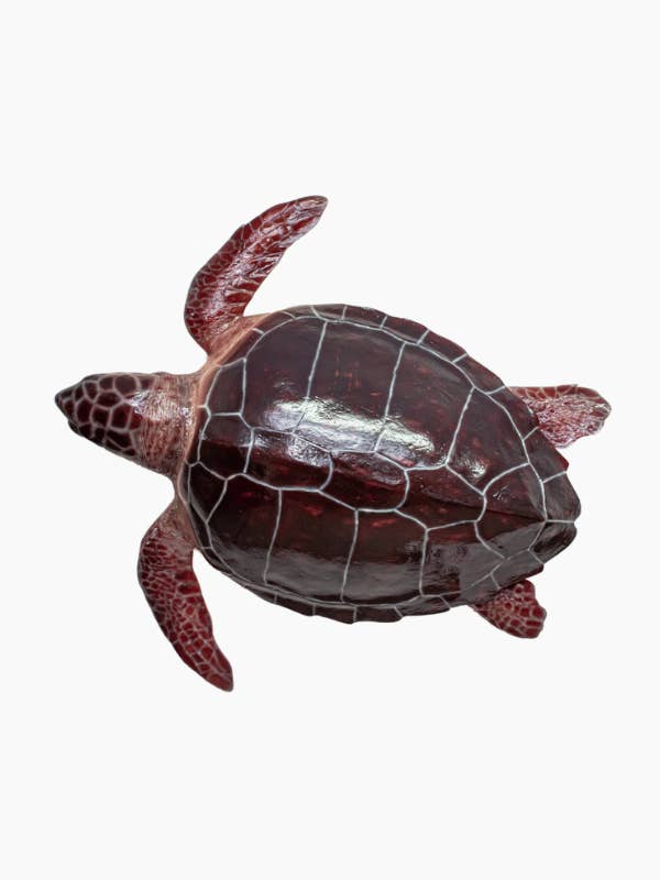 Mur de la tortue caouanne pour la vente par Bluewave Fish Mounts