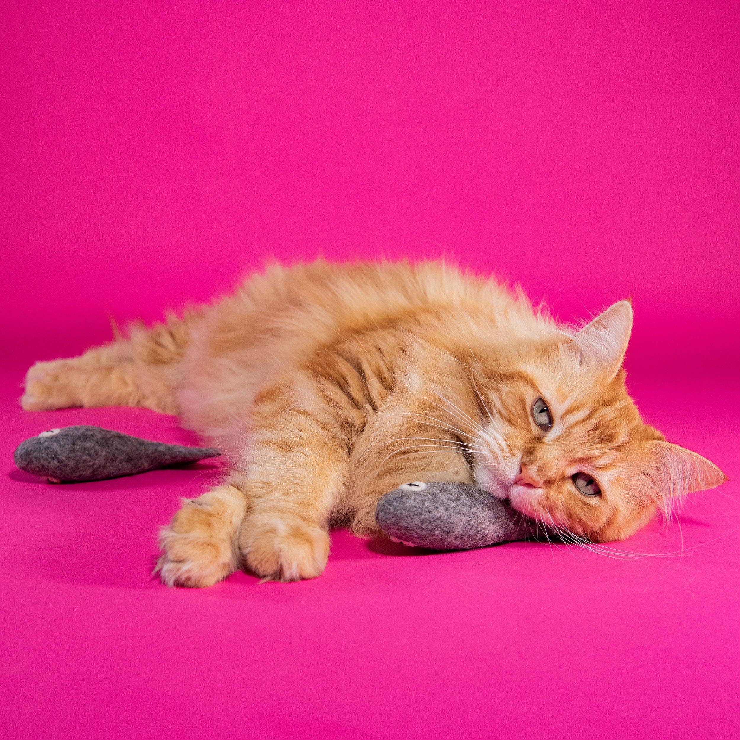 Mimi’s Daughters - Wholesale Pet Toy - Cat - Felix the Fish 15cm - Felt Cat Toy5