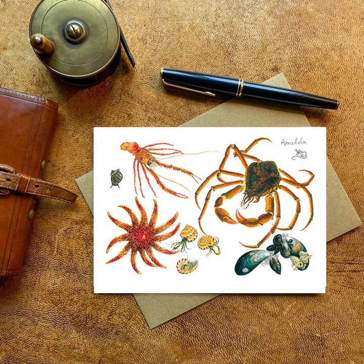 Rockpool crabs and starfish Card for wholesale by Wildlife By Mouse