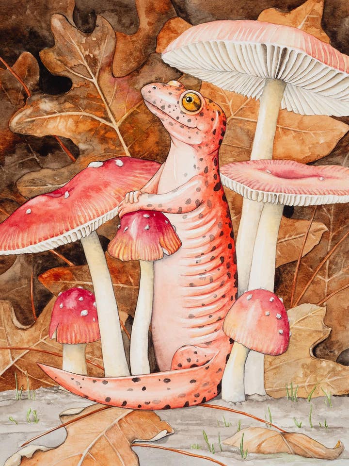 Carte de correspondance 5"x7" Salamandre rouge & Faux champignons de César pour la vente par Katie Crawford Art