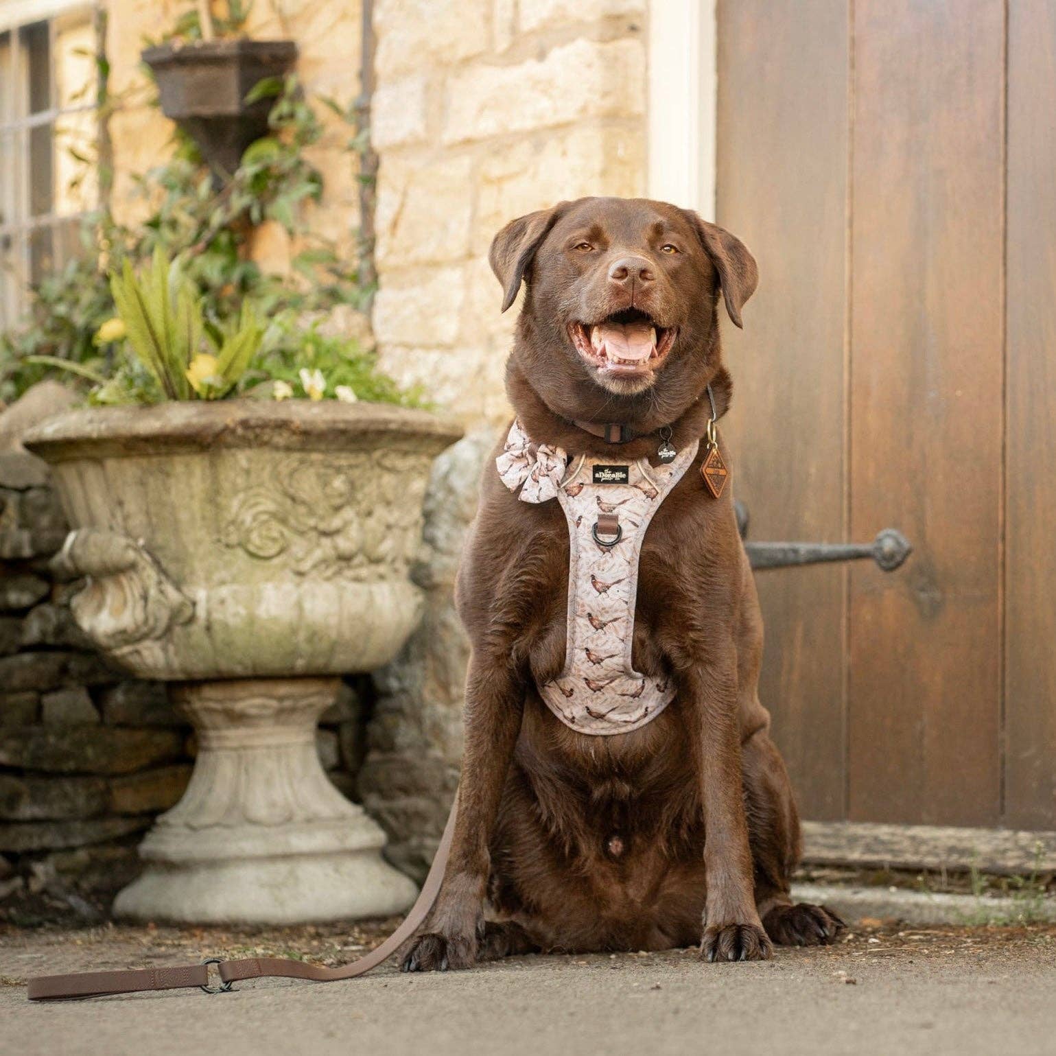 The aDoraBle Pooch Company - Wholesale Tuig voor huisdieren - Hond - Hike & Go™ Harnas - Farmland Fazant38