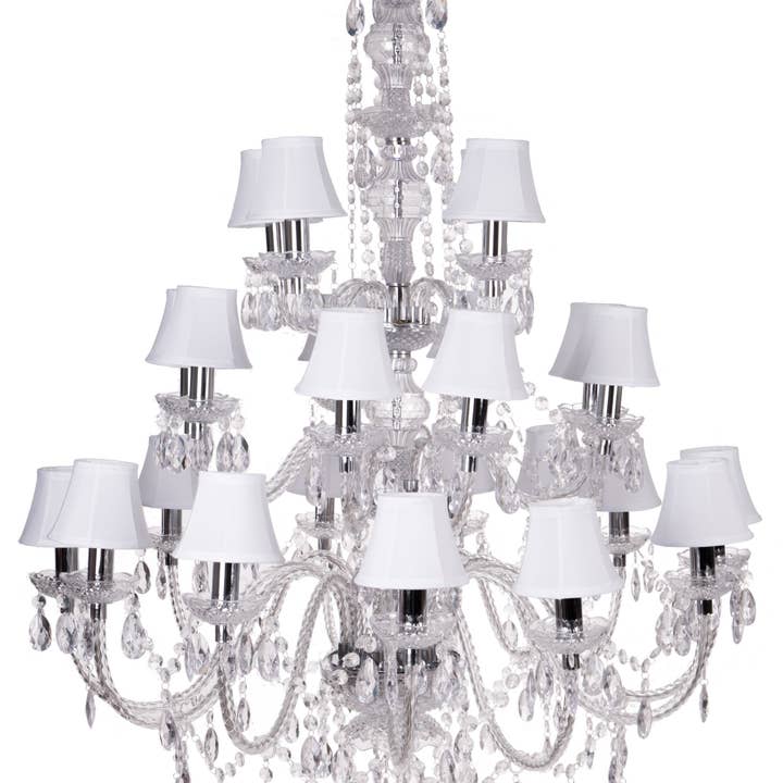 Romeo 24T Transparent pour la vente par Muno