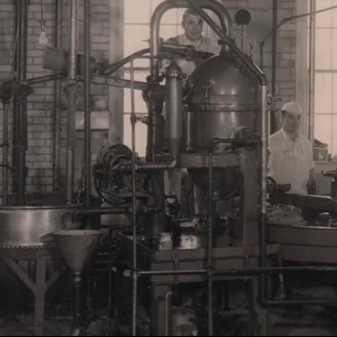 O'Shea's Candies Sweet Shop - Wholesale Taffy - Nostalgic 1924 Original Bit O Honey 🍯 🐝 1/2# Flaire Bag2