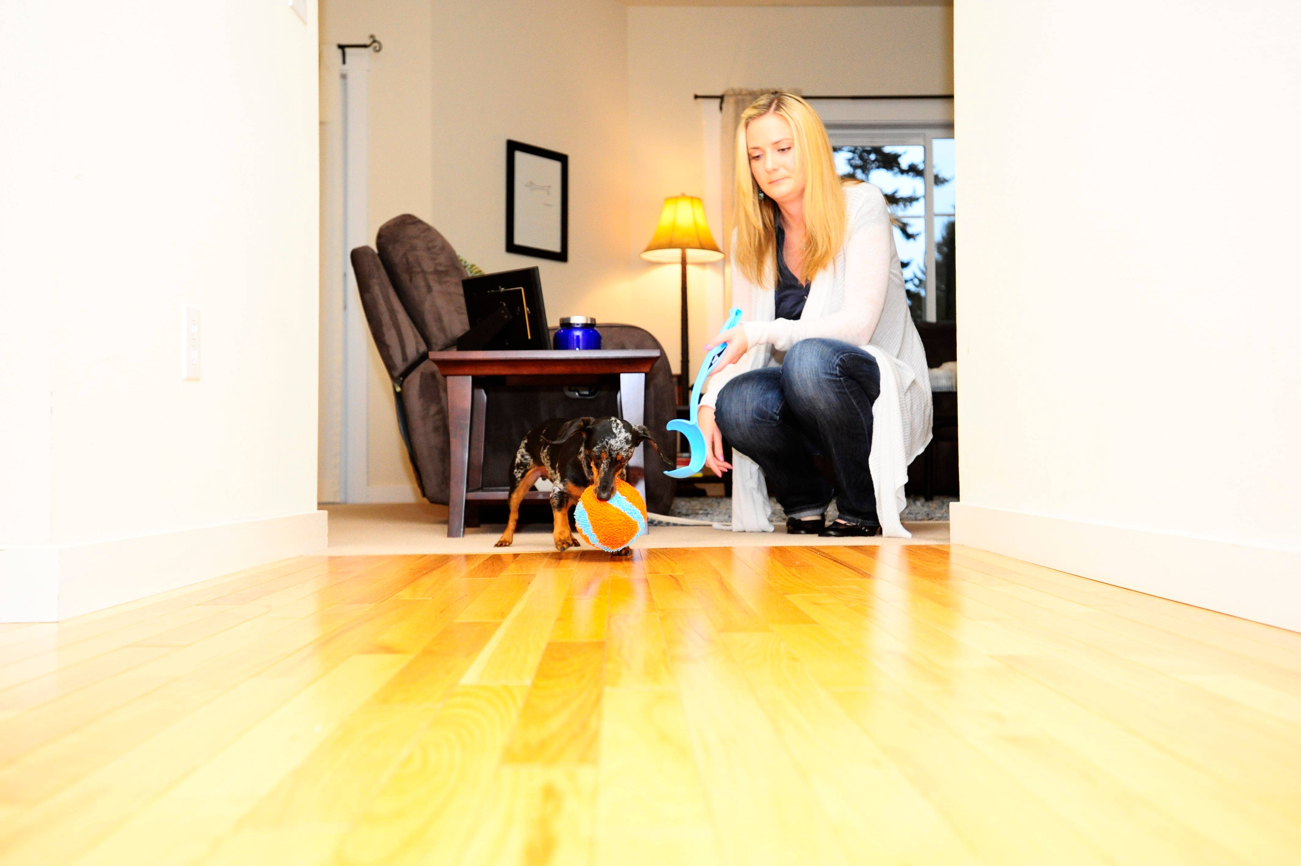 Hofman Animal Care - Wholesale Pet Fetch Ball - Dog - Chuckit Indoor Ball 12 cm2