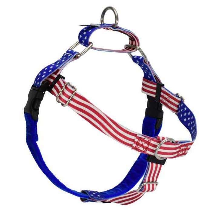 Arnês sem puxar da EarthStyle Star Spangled Freedom somente por atacado de 2 Hounds Design